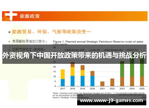 外资视角下中国开放政策带来的机遇与挑战分析
